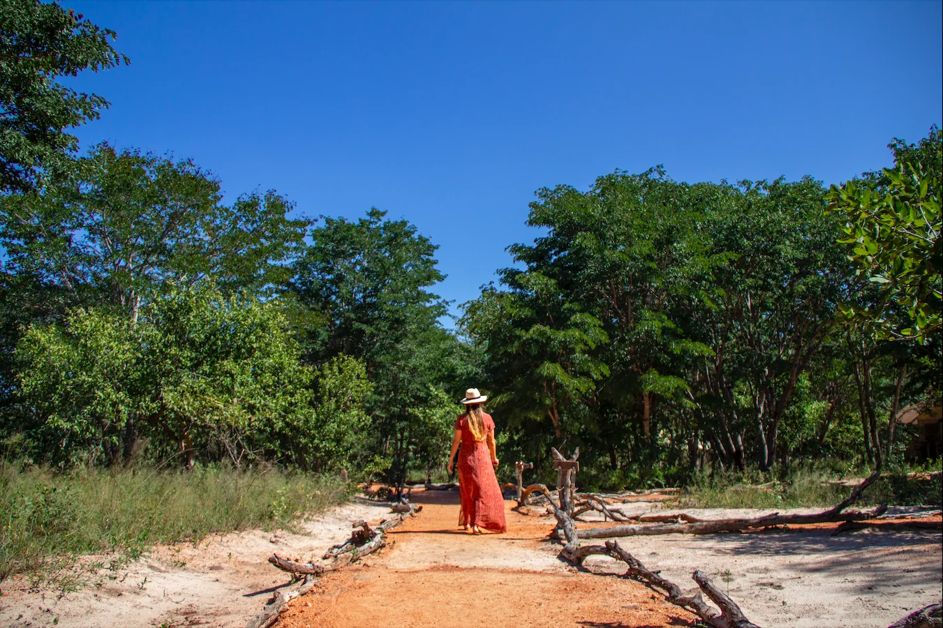Sundheds- og Velvære-safari