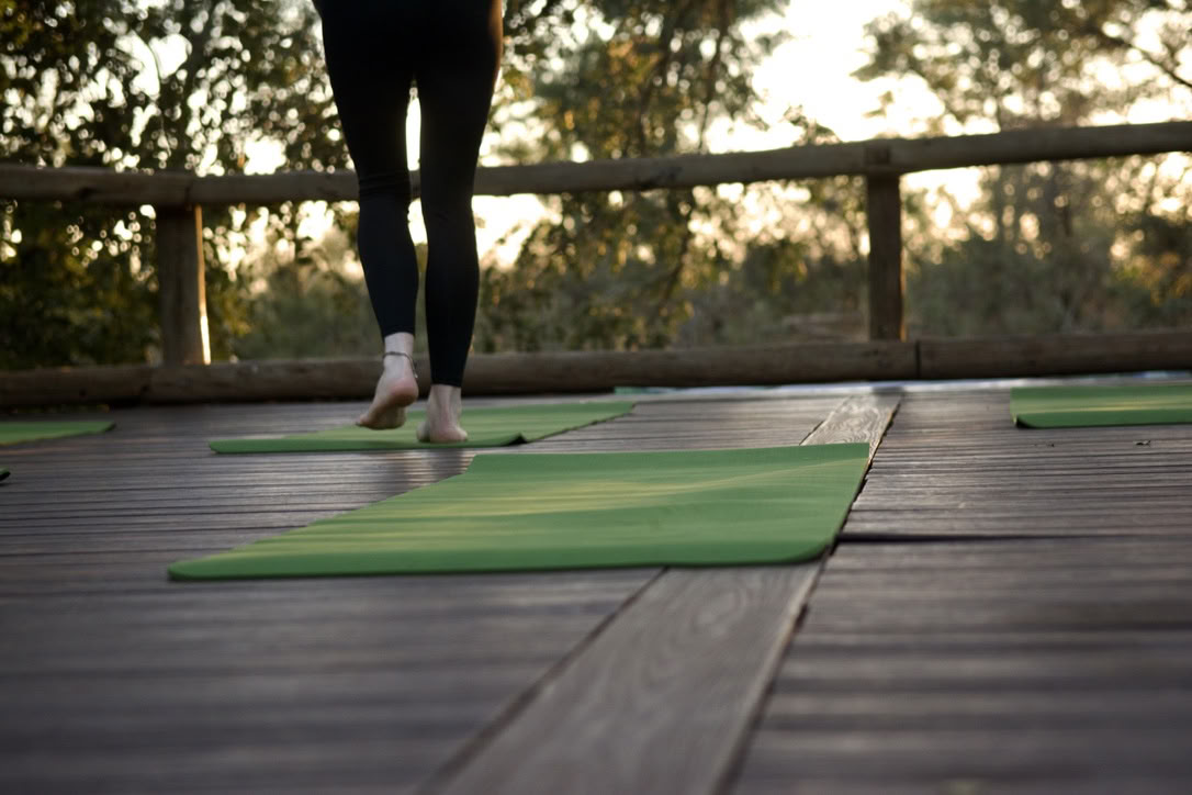 Yoga med elefanter
