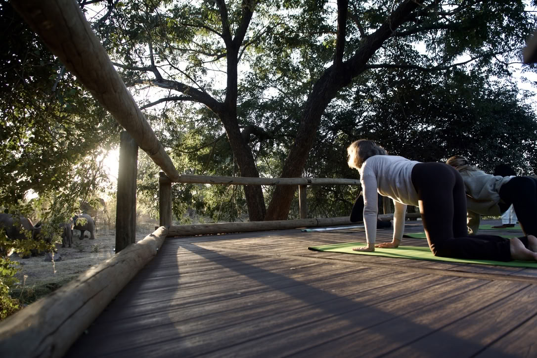 Yoga med elefanter