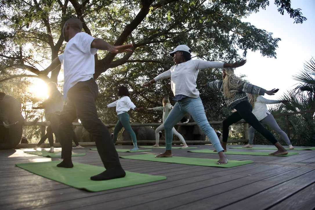Yoga med elefanter