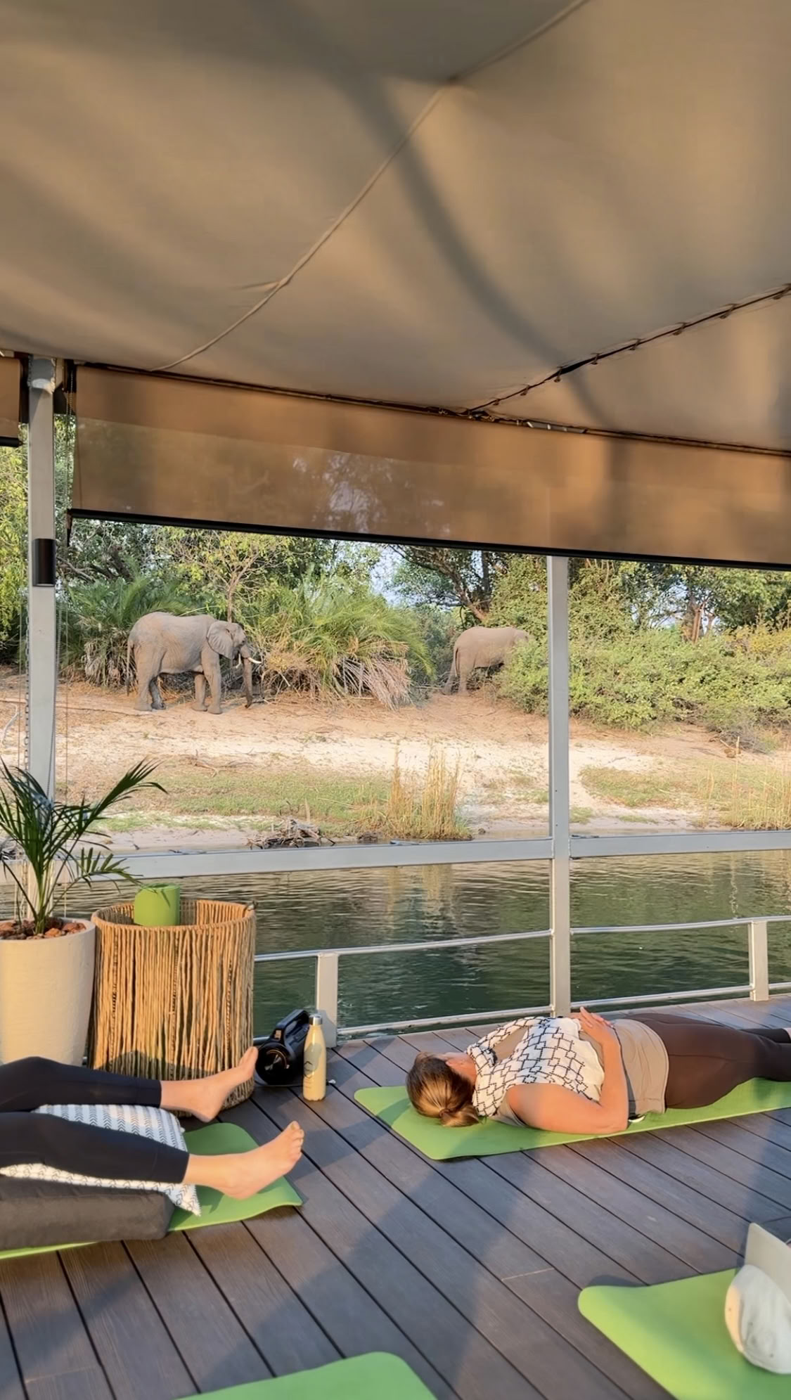 Yoga ved Zambezi