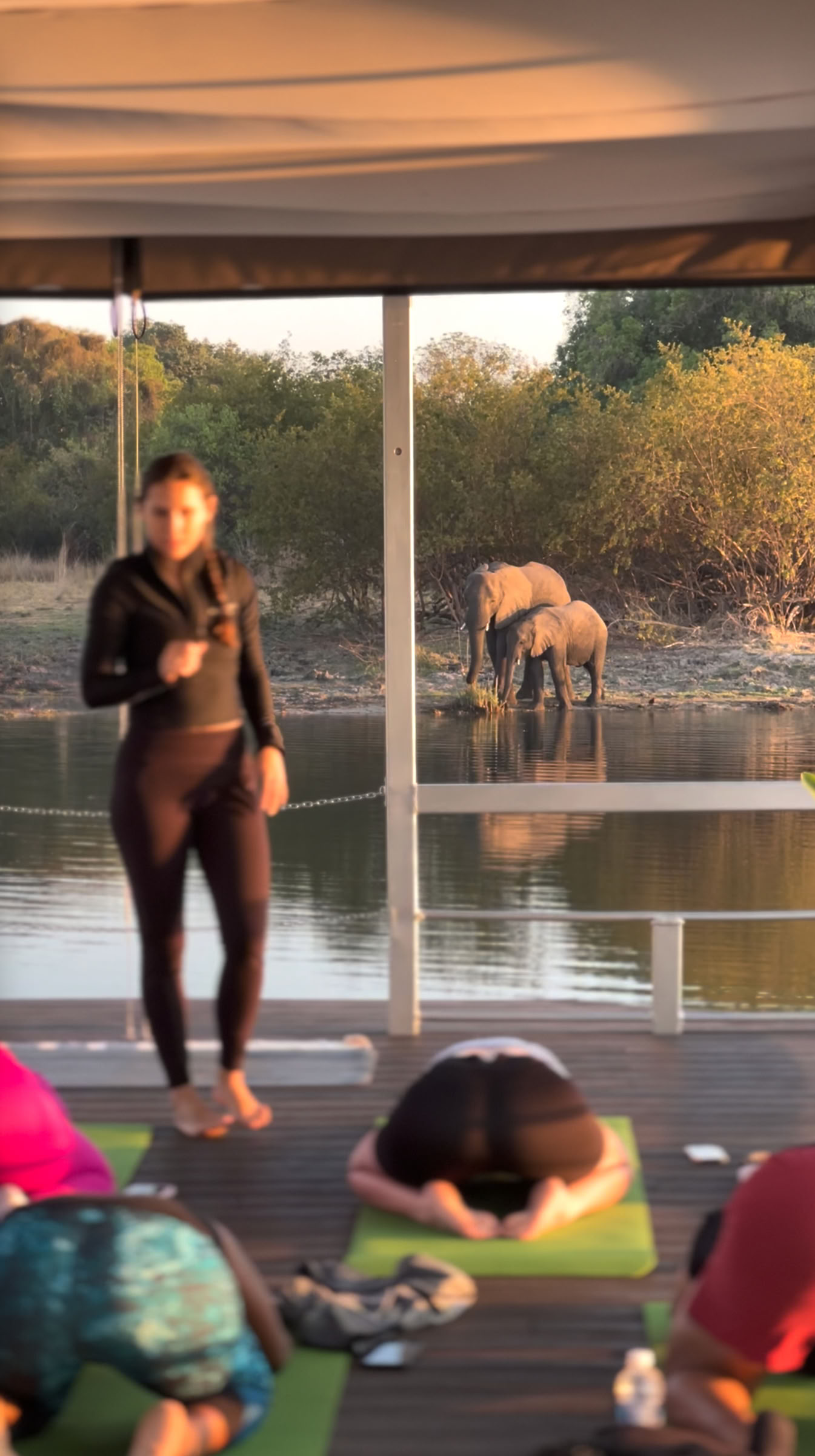 Yoga ved Zambezi