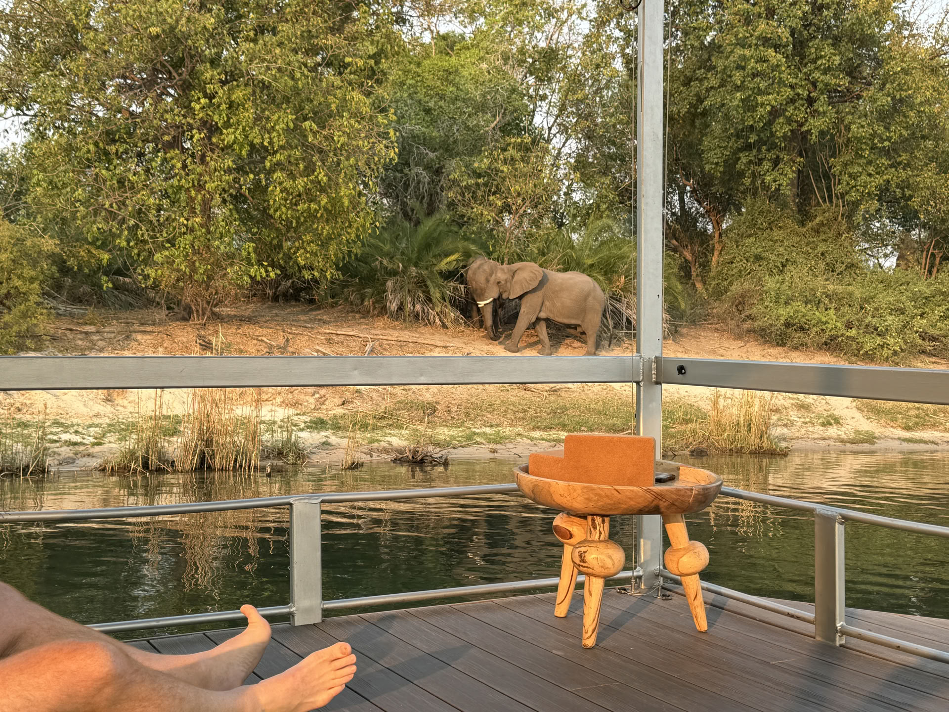 Yoga ved Zambezi