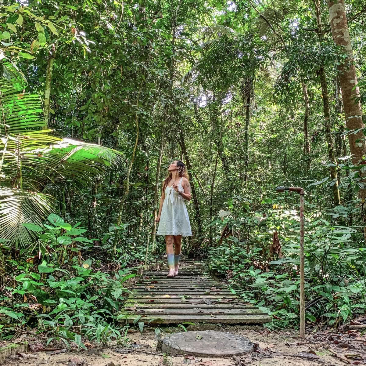 Ayahuasca Transformationsretreat i oktober 2026 (8 dage)