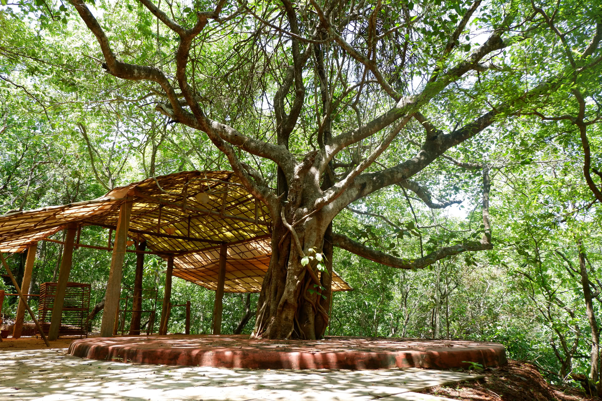 Saundarya Yoga-retreat