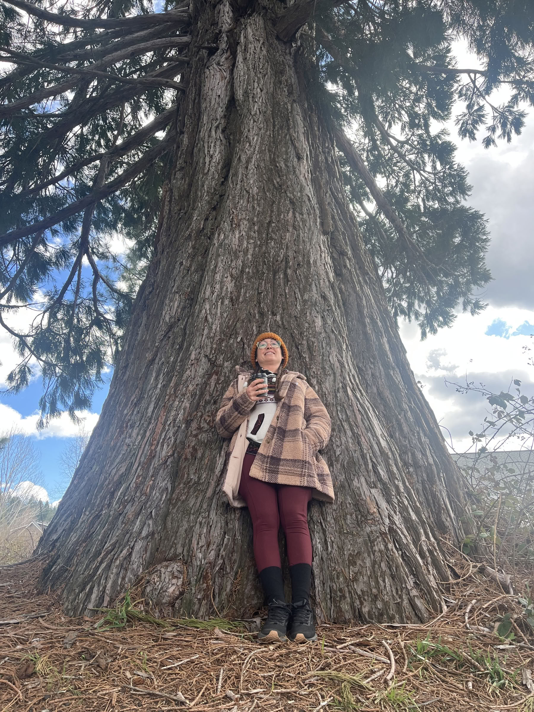 Dyb Indre Fred-retreat: Mt. Shasta, CA