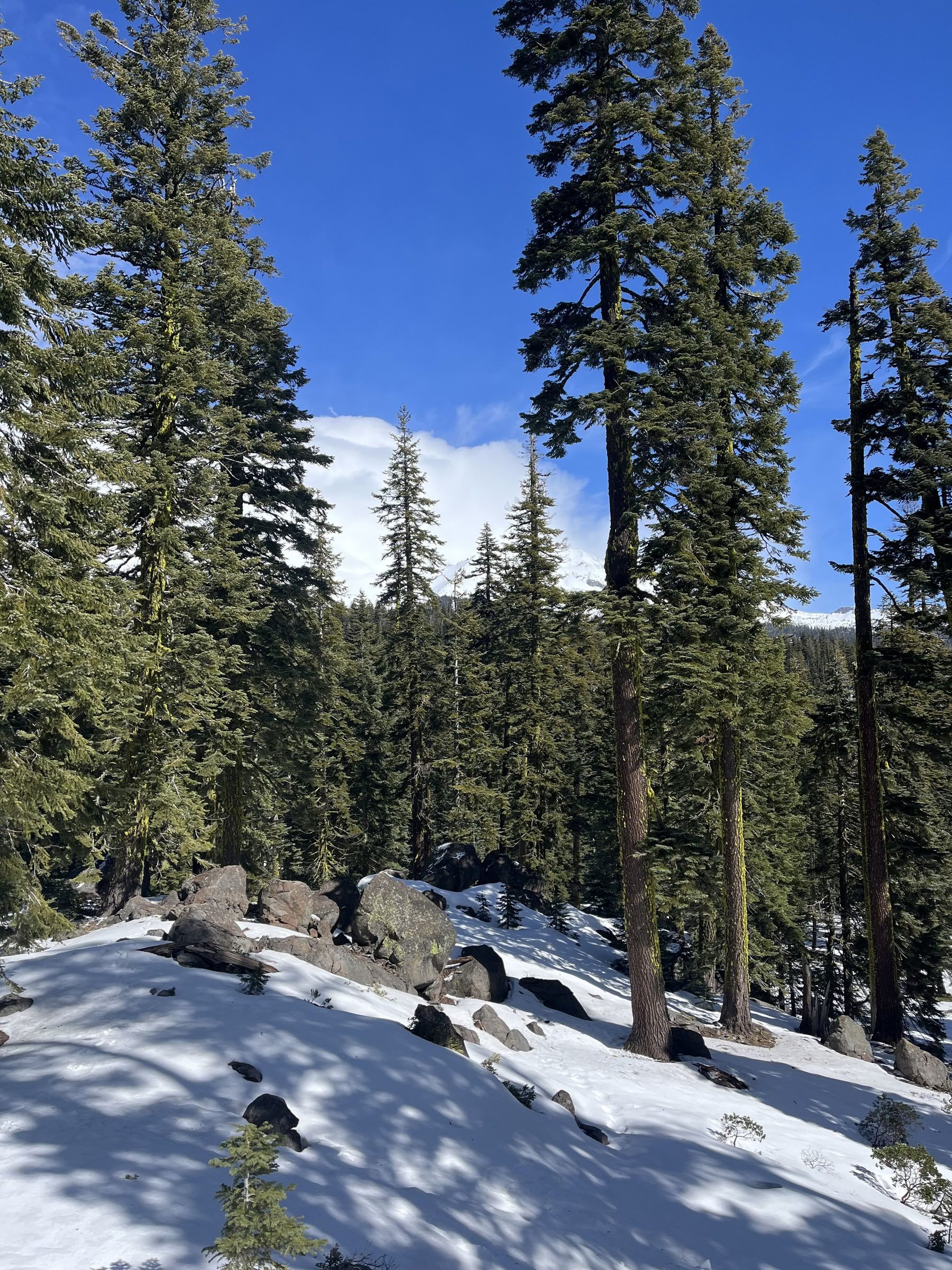 Dyb Indre Fred-retreat: Mt. Shasta, CA