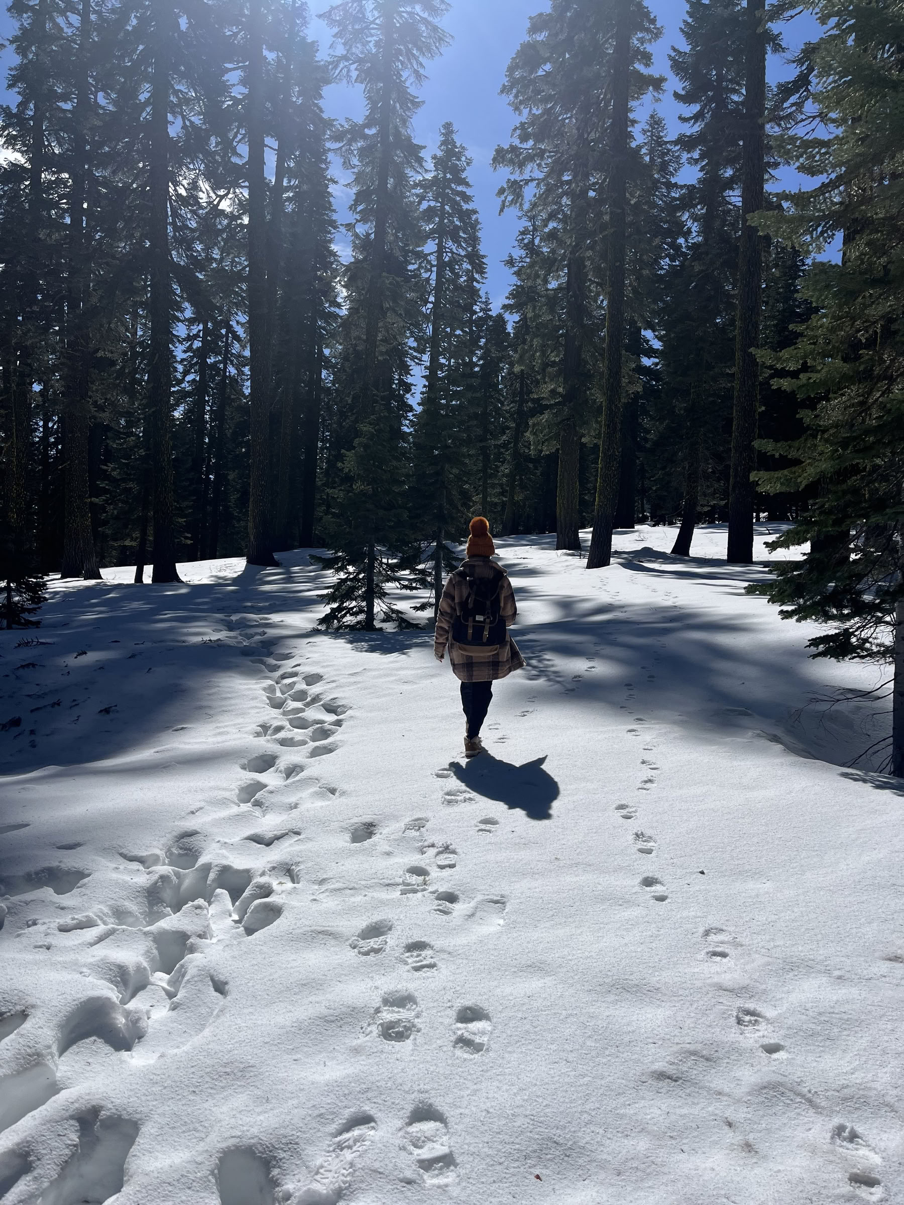 Dyb Indre Fred-retreat: Mt. Shasta, CA