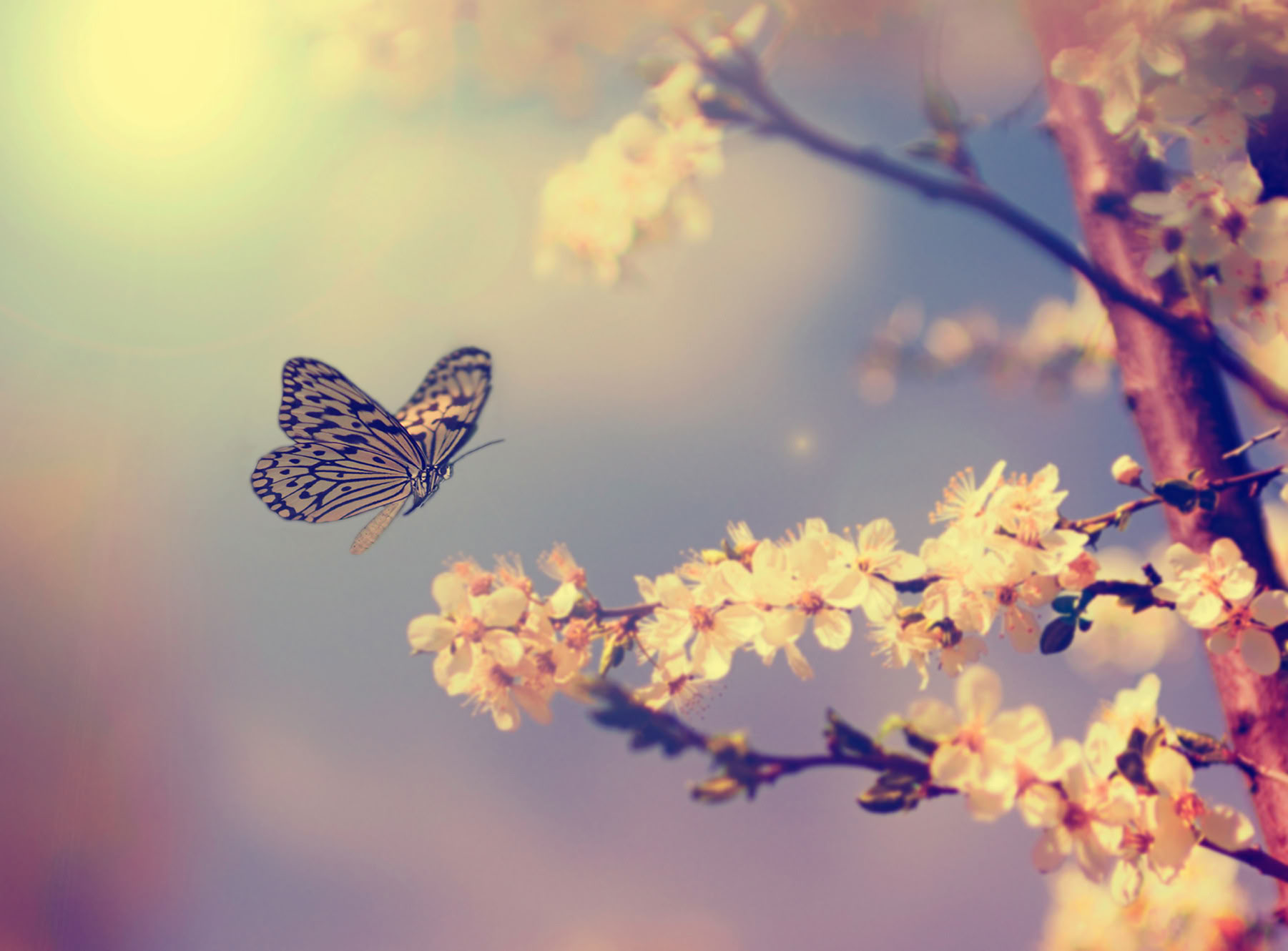 Usui Reiki-mesterretreat med Gwen