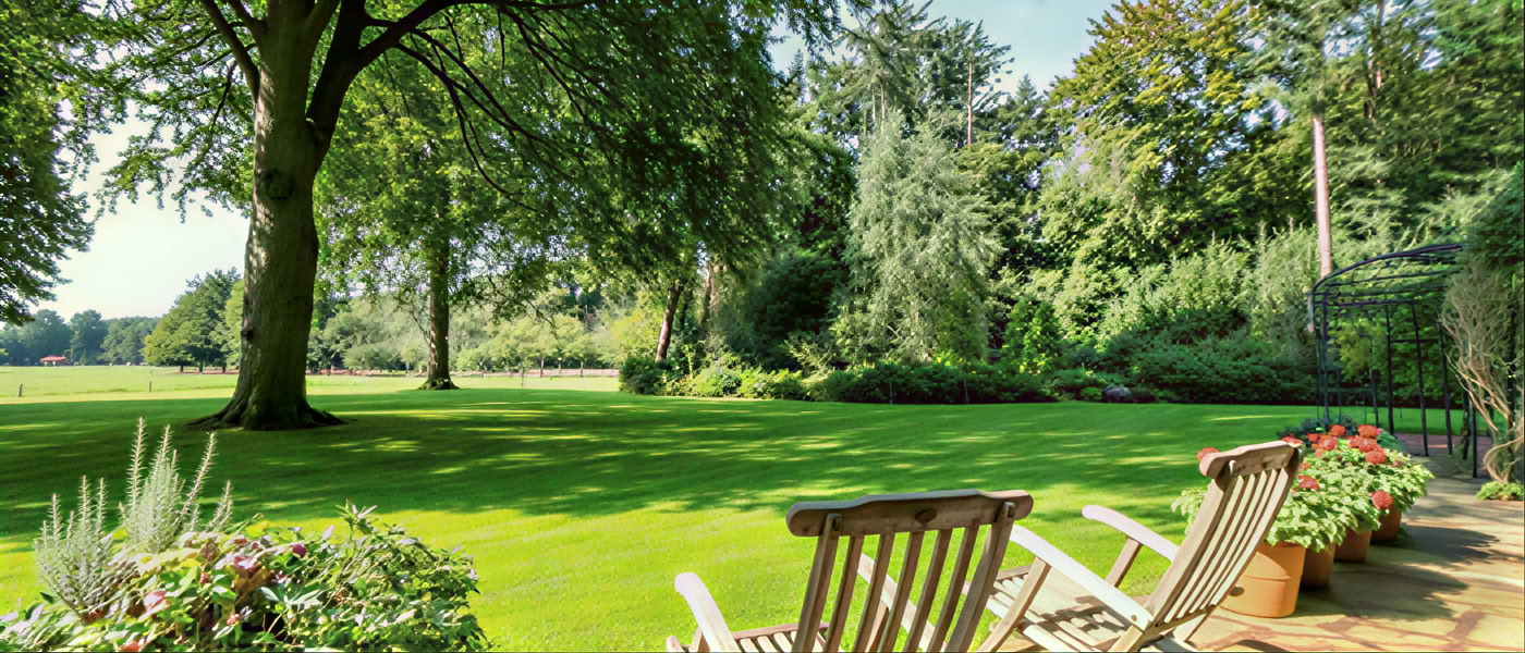 Yogaretreat i Nederlandene: 3 dage med lykke