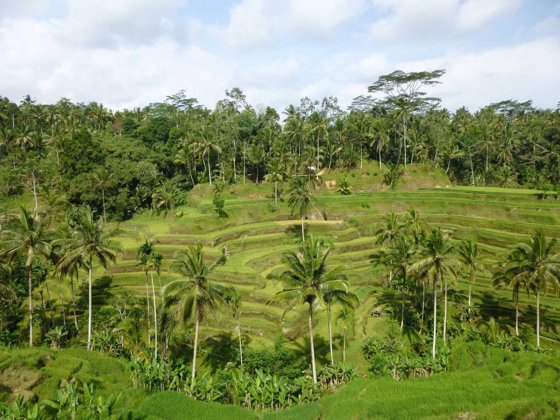 Mig-tid. På min måde. Wellness-retreat på Bali
