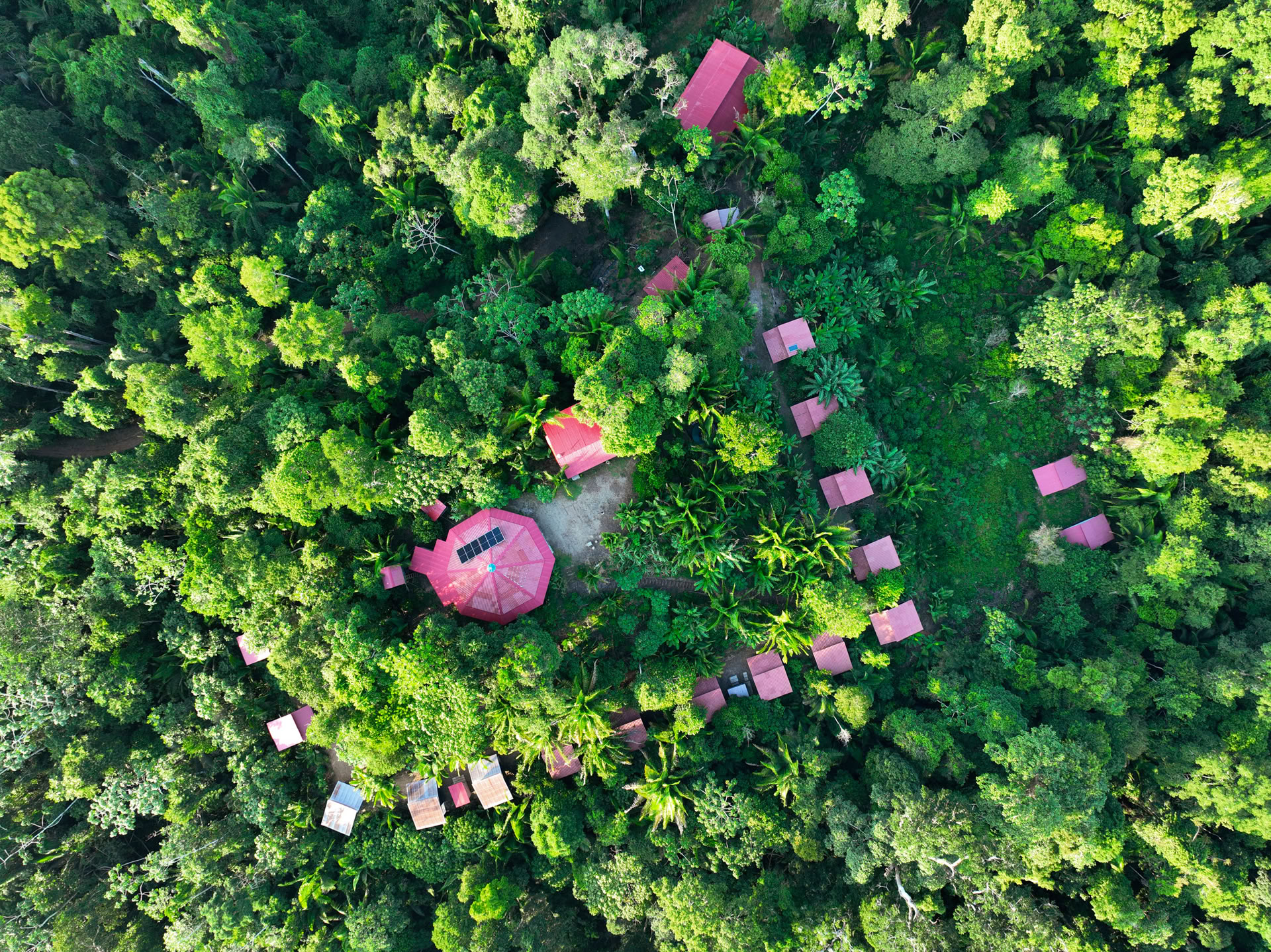 Ayahuasca-retreat i Pucallpa