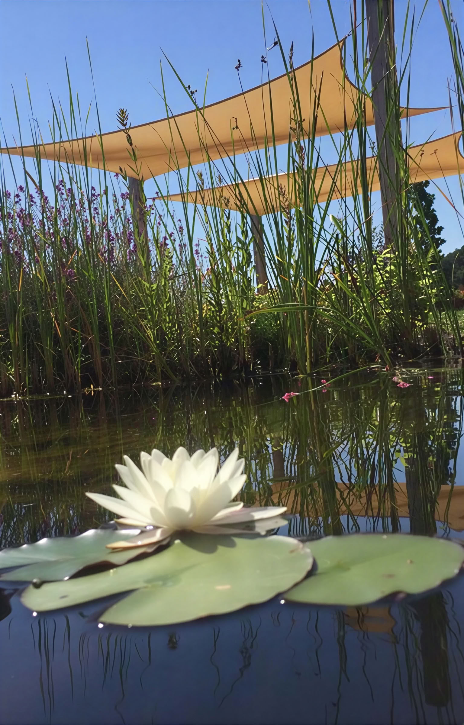 Kunst med Chi-retreat
