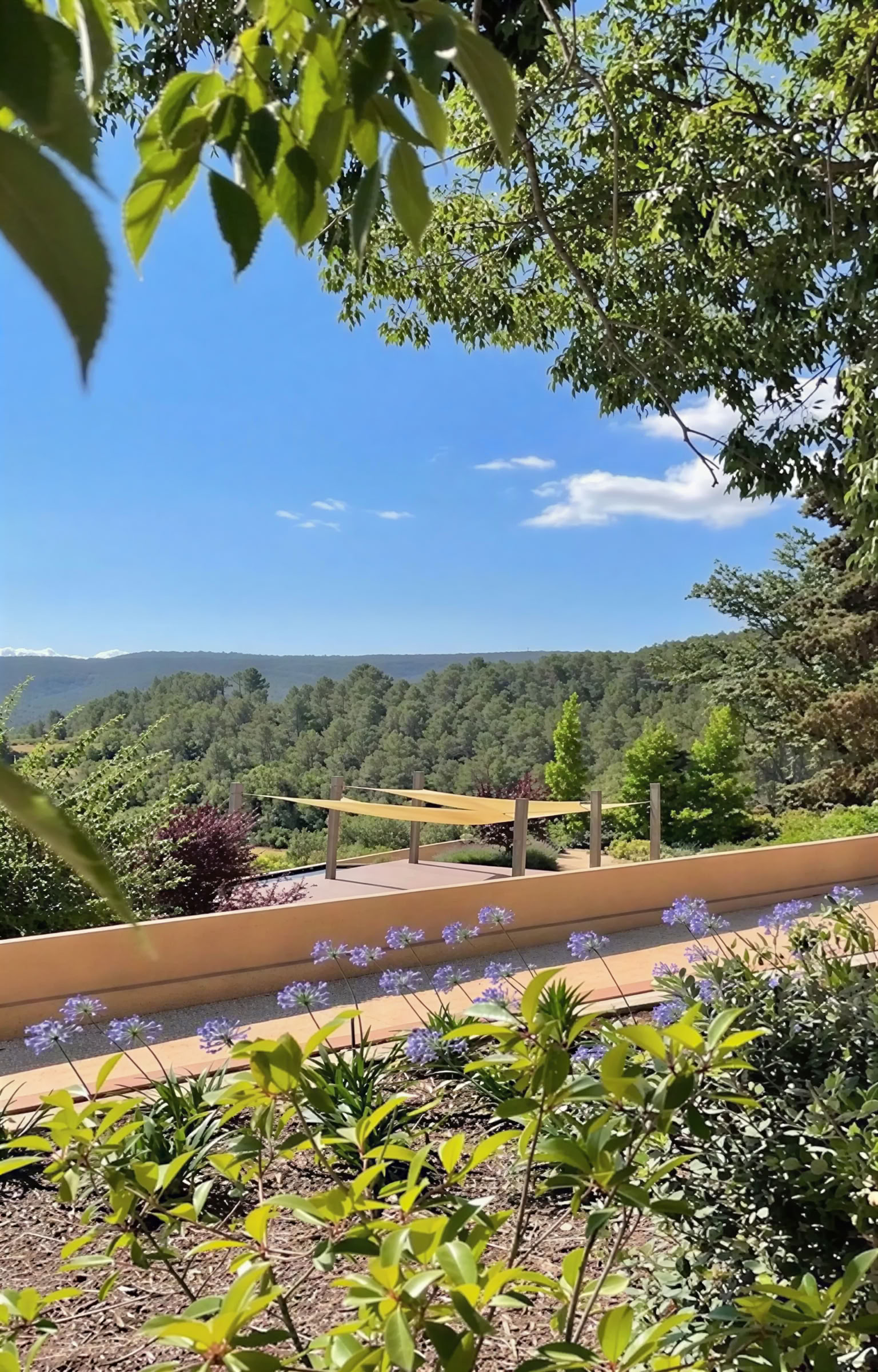 Intim ayahuasca-retreat (Kinkara Costa Rica) – sommerretreats