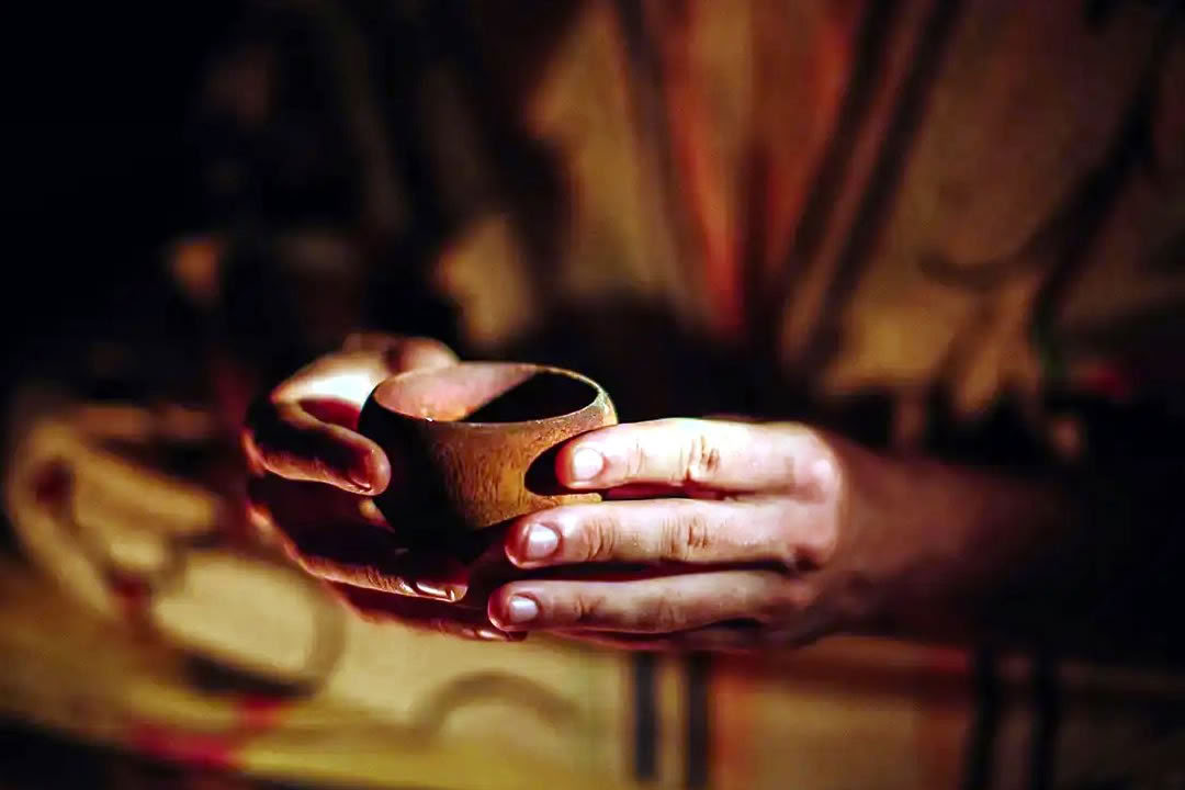 Ayahuasca-retreat for homoseksuelle og LGBTQ-personer