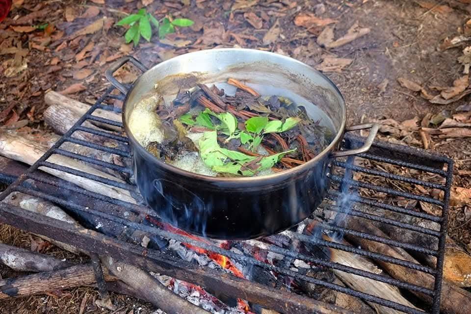 12 dages ayahuasca-retreat i Peru hos Selva Madre