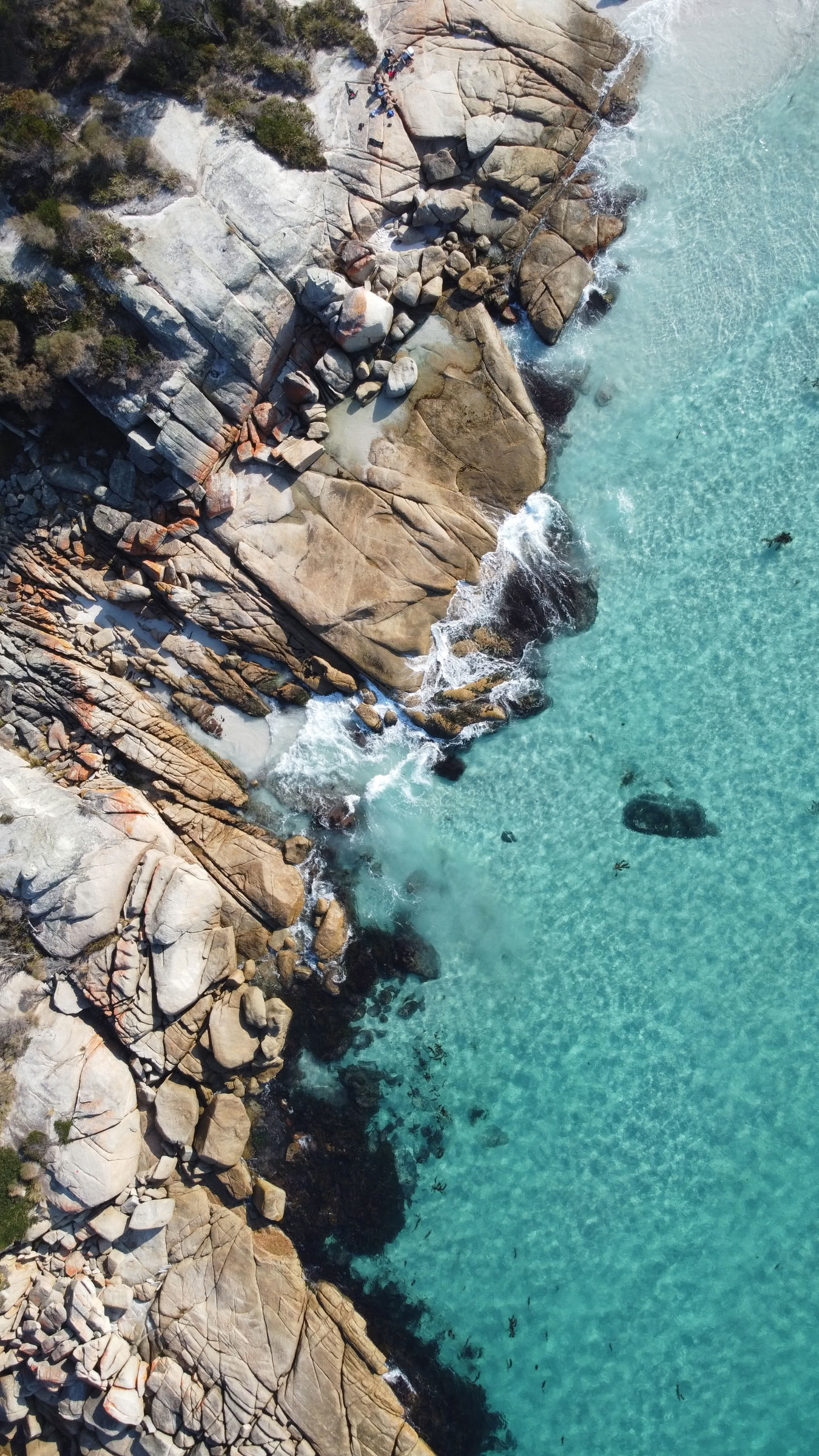 Tasmanien, yoga og vandretur