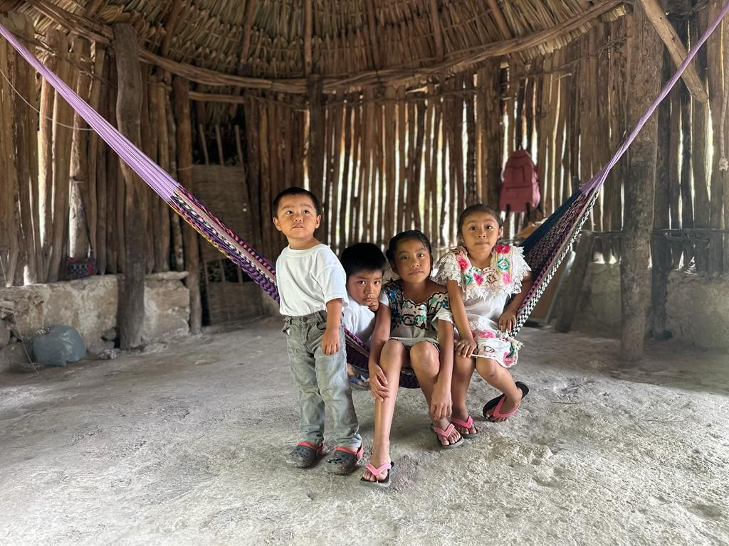 Ind i vildmarken esp