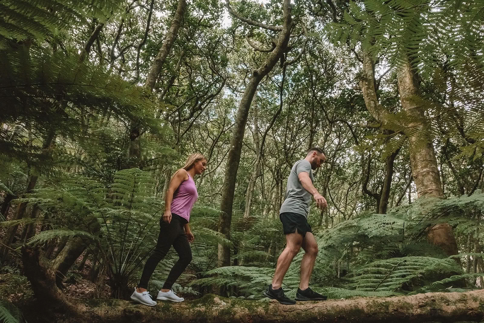 Tør leje - HELE EJENDOMMEN eller AFHOLD DIN EGEN RETREAT