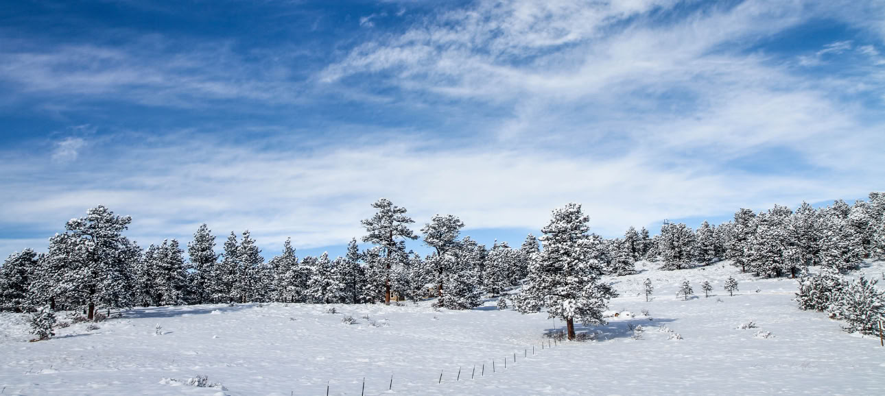 At finde ro og indsigt gennem åndedrættet: et guidet meditationsretreat