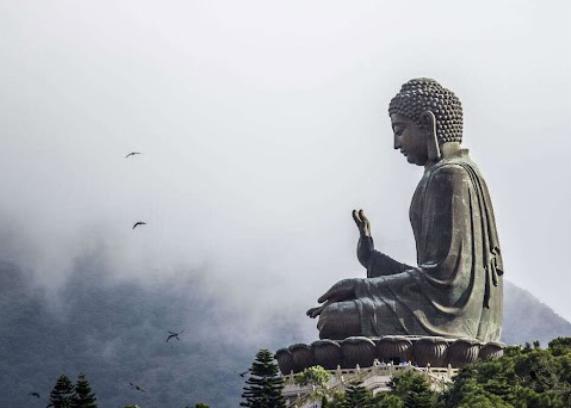 Meditationens grundlag II: Fordybelse i vejen | 2026