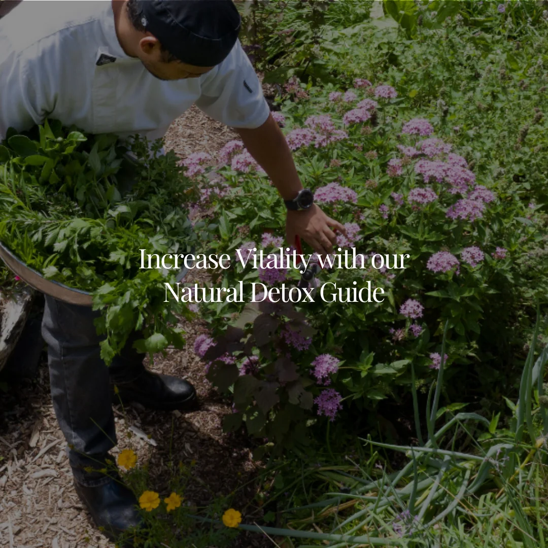 Ultimativ wellness-retreat