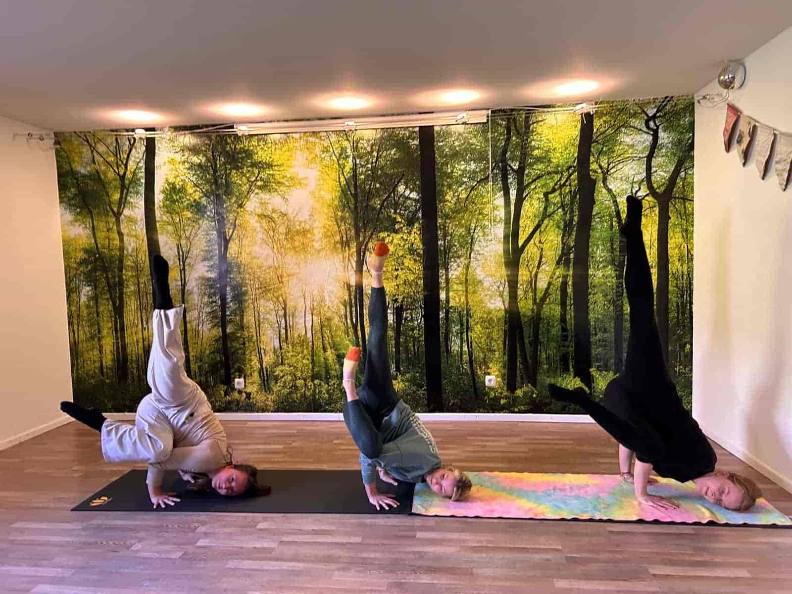 100 timers armbalancetræning i Tyskland
