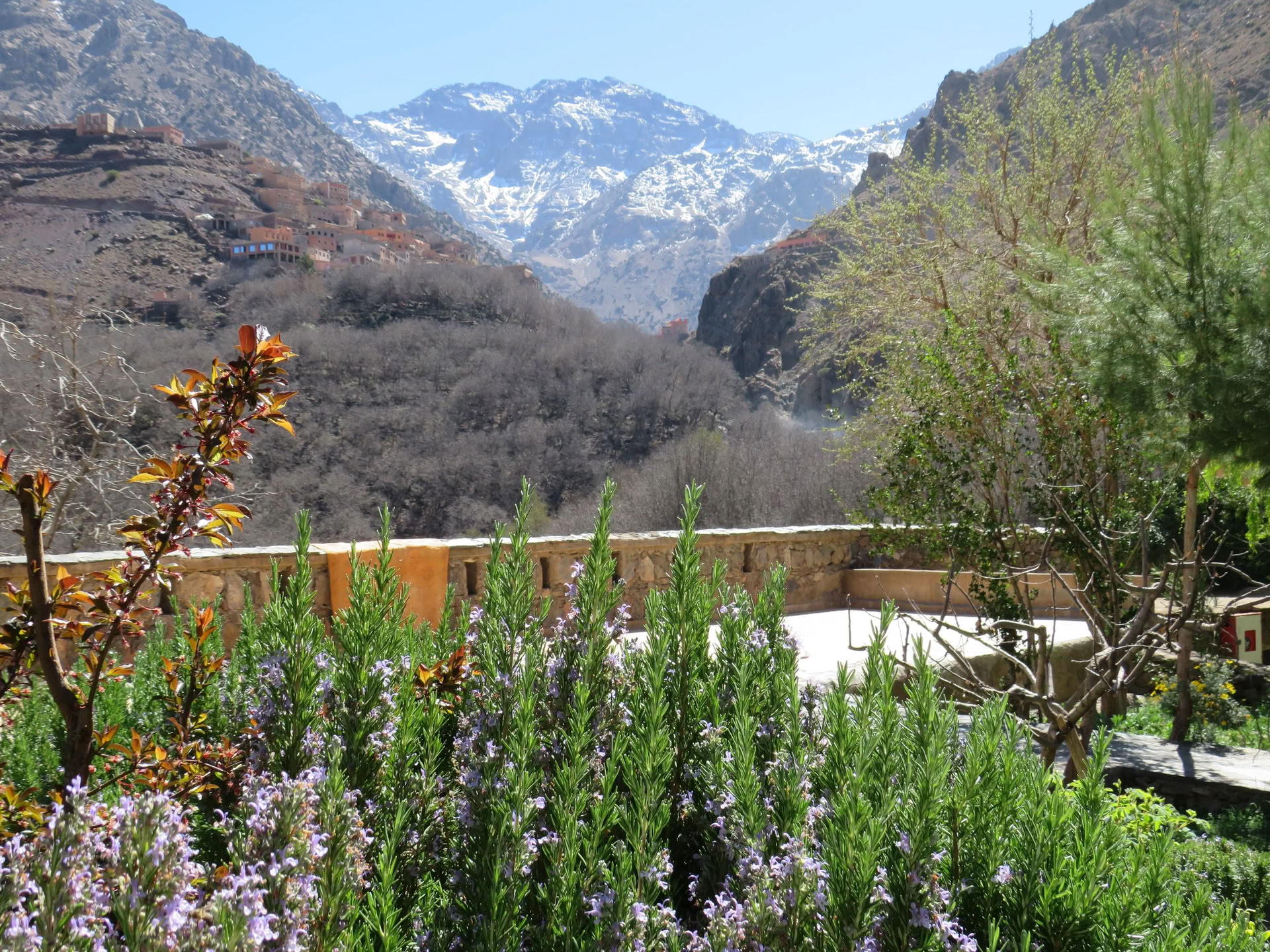 Yoga-retreat i Marrakech