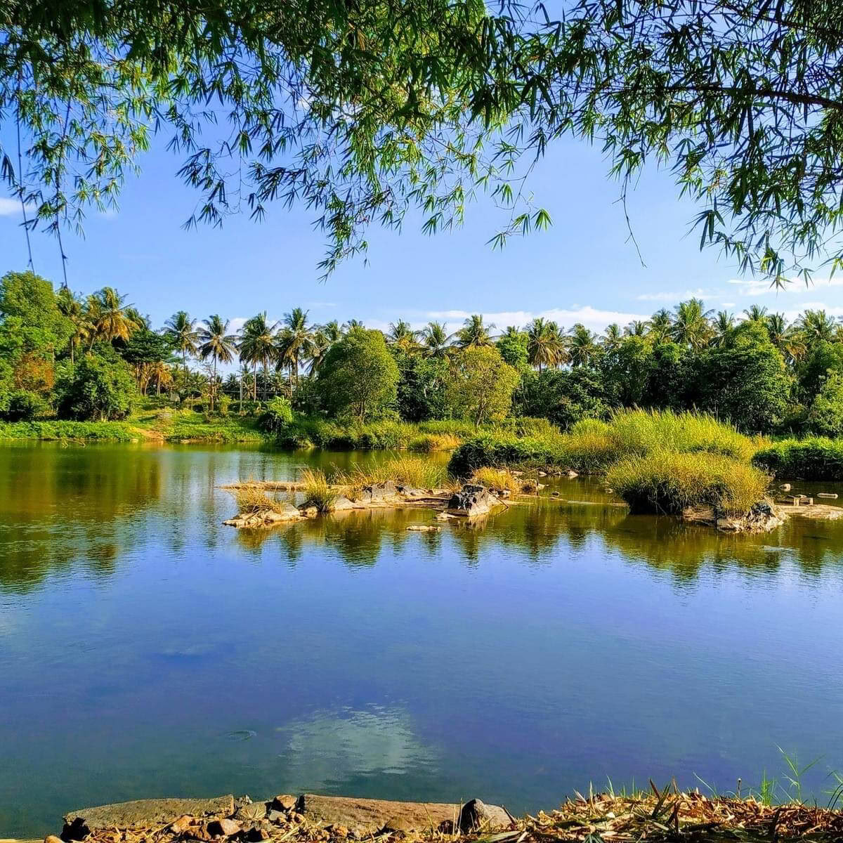Brahma Mouna Stilheds- og Wellnessretreat