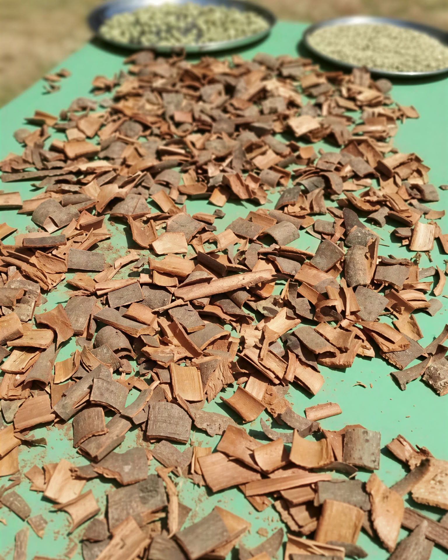 Brahma Mouna Stilheds- og Wellnessretreat