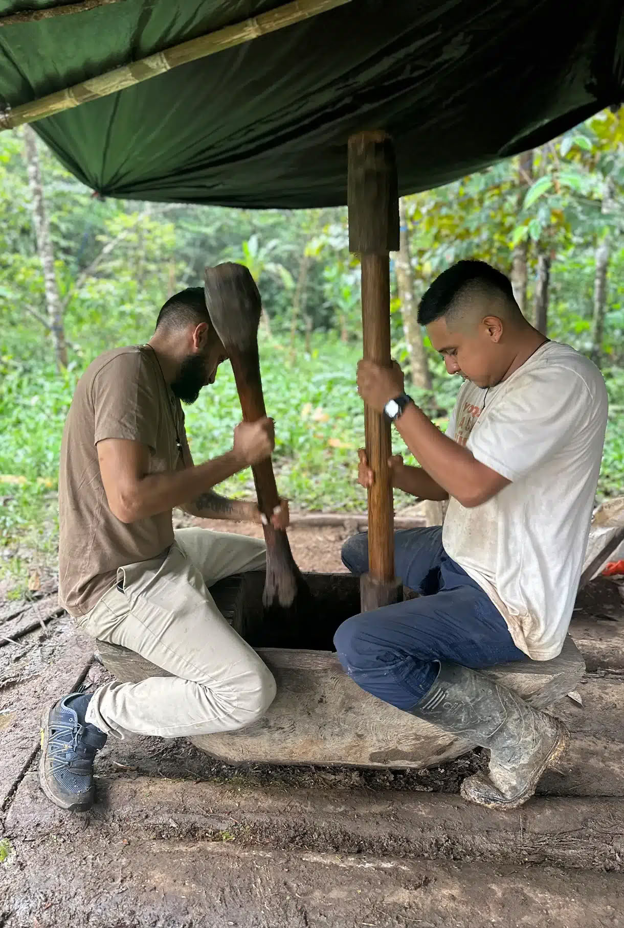 Ayahuasca-retreat med medicinmageren Taita Miguel