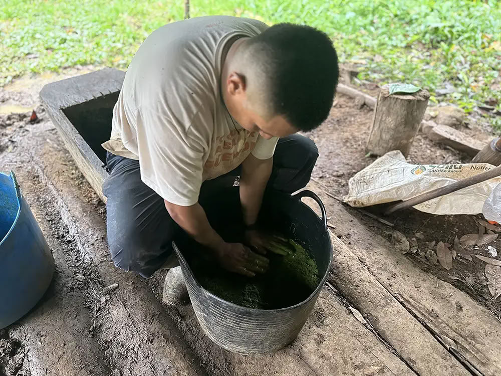 Ayahuasca-retreat med medicinmageren Taita Miguel