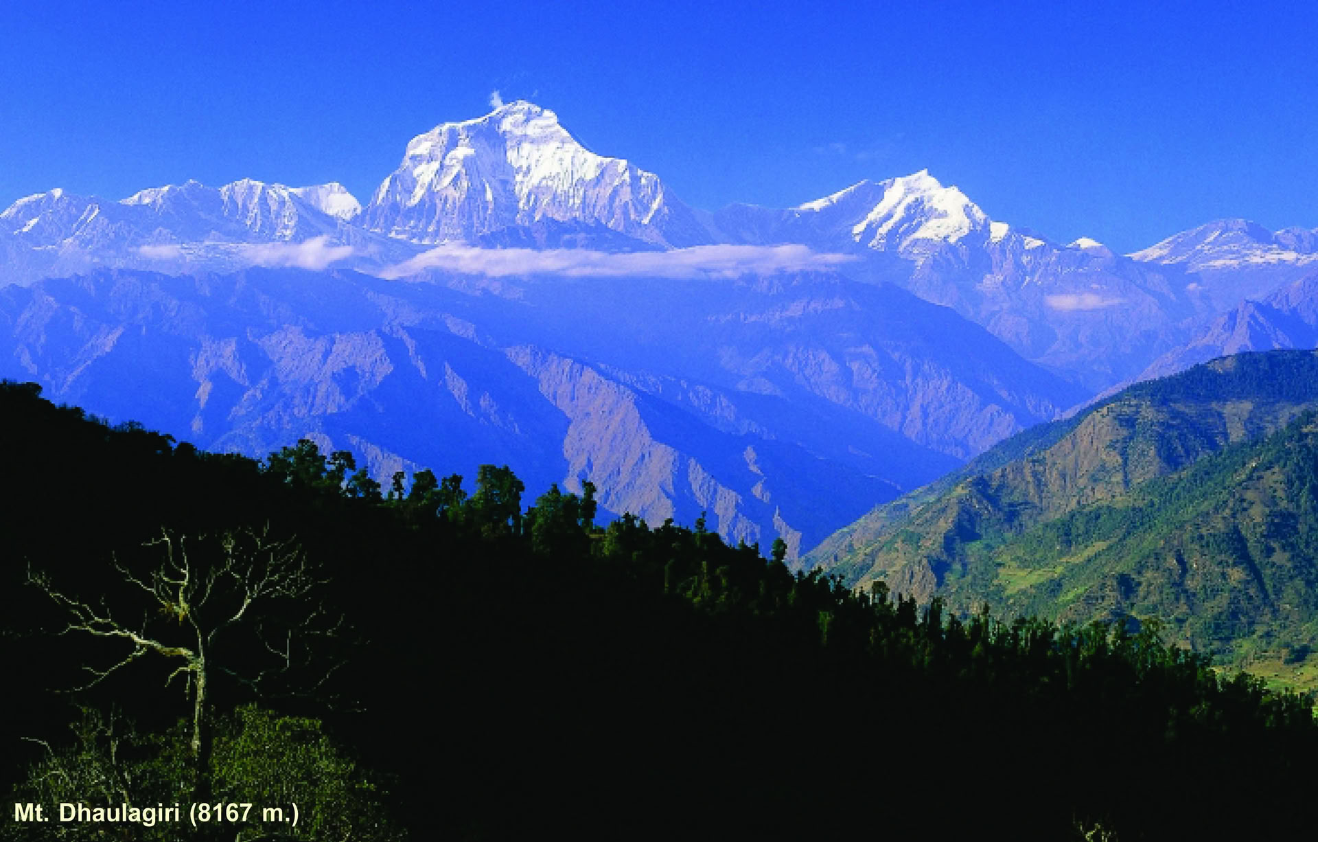 Machhapuchhre-trek og udforskning af Himalaya i 11 dage