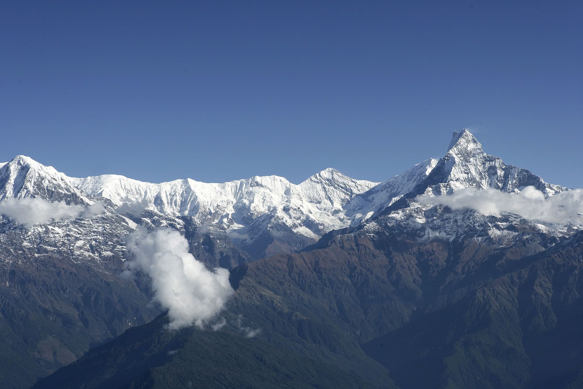 Machhapuchhre-trek og udforskning af Himalaya i 11 dage