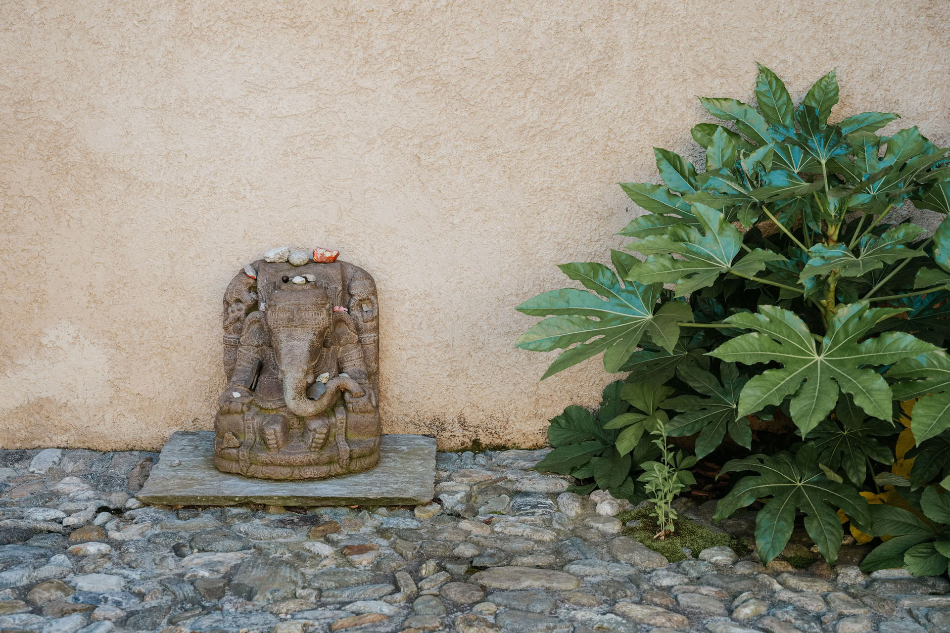 Yin-yoga-retreat med indre ro