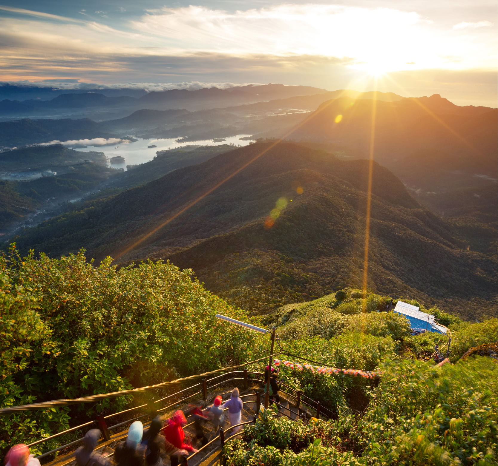 Fredfyldte Stier: 7-dages Sri Lanka-lykke! Yoga, meditation, kultur, natur