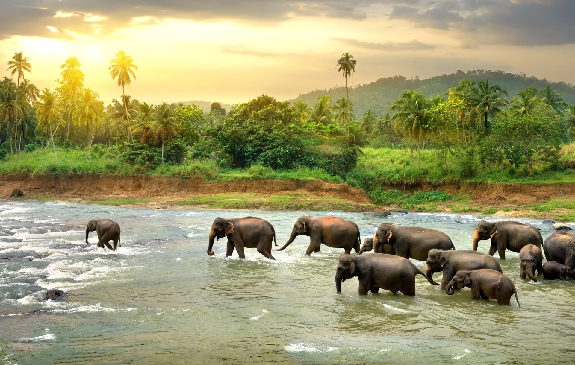 Fredfyldte Stier: 7-dages Sri Lanka-lykke! Yoga, meditation, kultur, natur