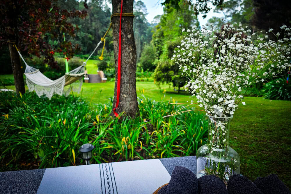 Psykedelisk smertehåndteringsretreat