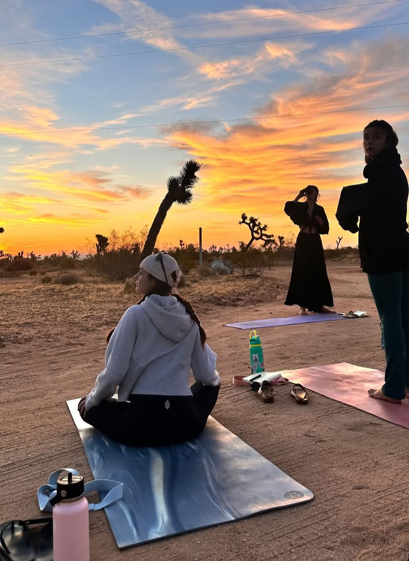 15-dages RYT200-program i Joshua Tree, Californien
