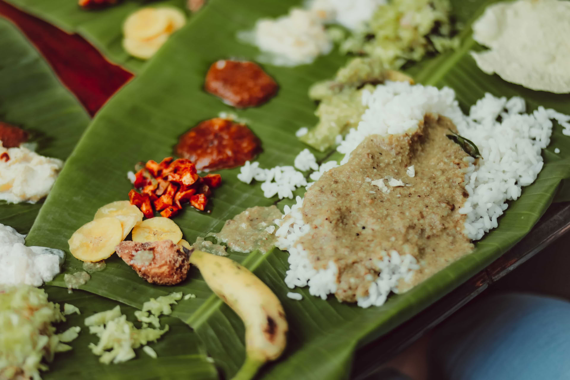 Lydhealingkursus i Varkala, Kerala