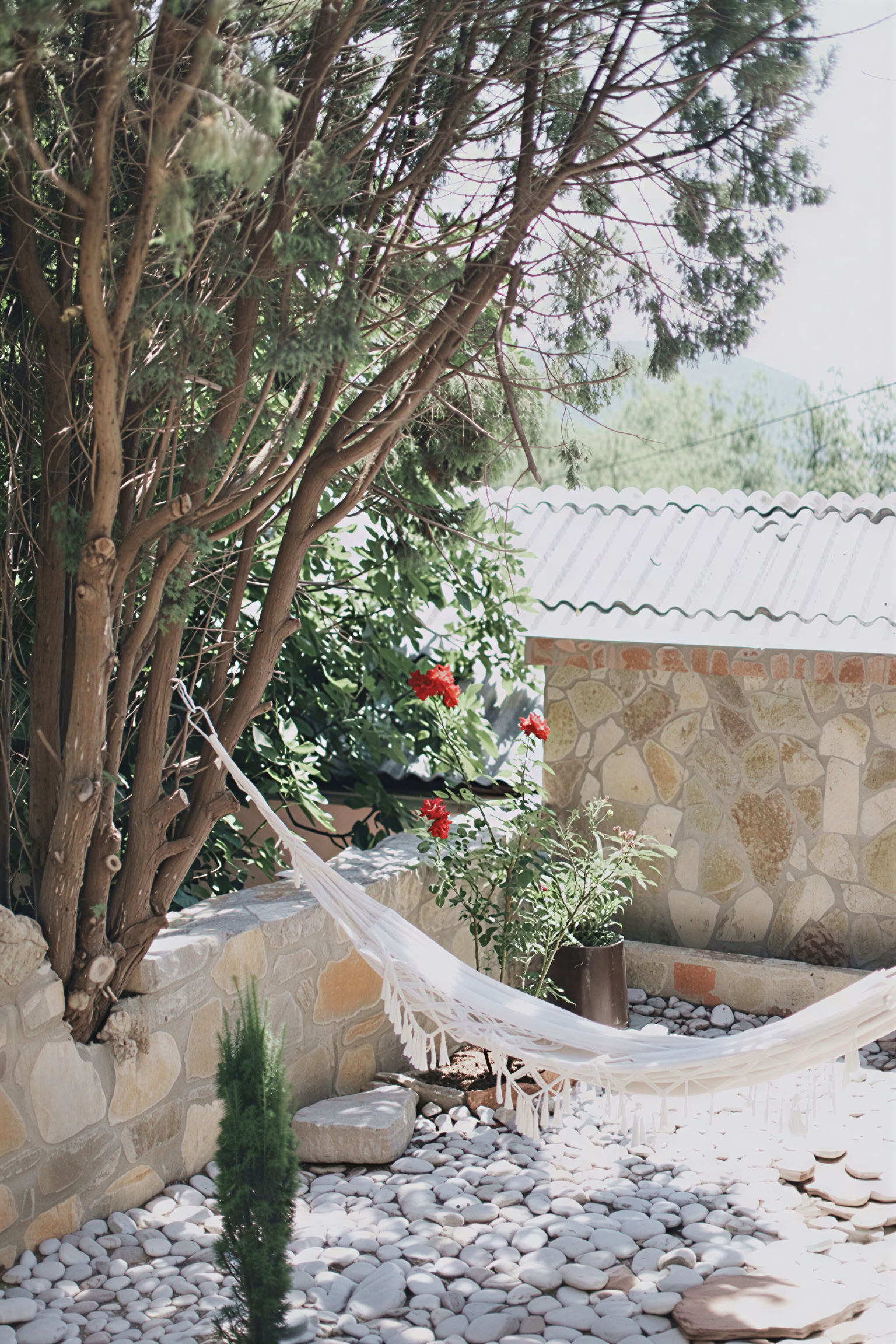 Yoga-, detox- og urte-madlavningsretreat med Dr. Lemm