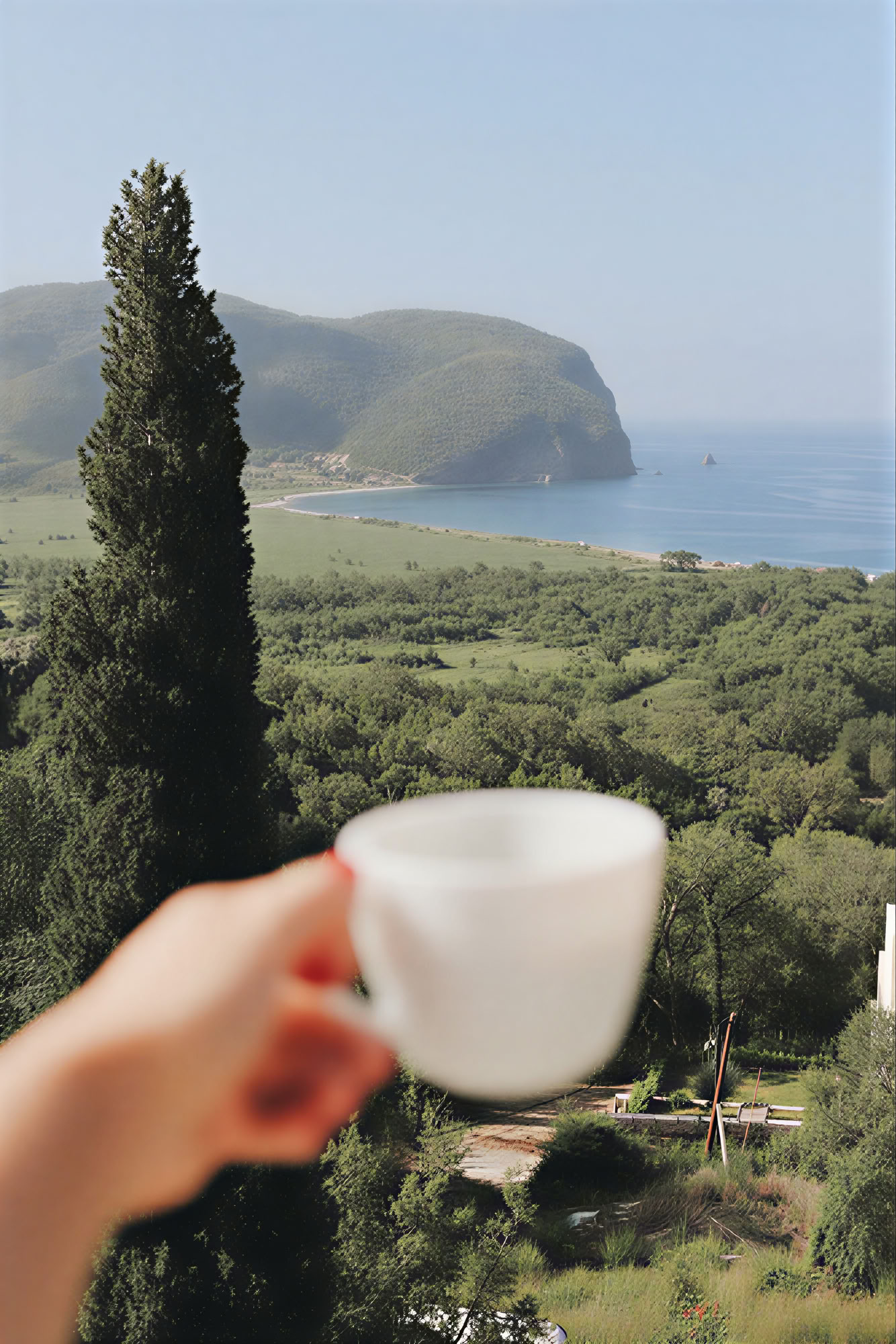 Yoga-, detox- og urte-madlavningsretreat med Dr. Lemm