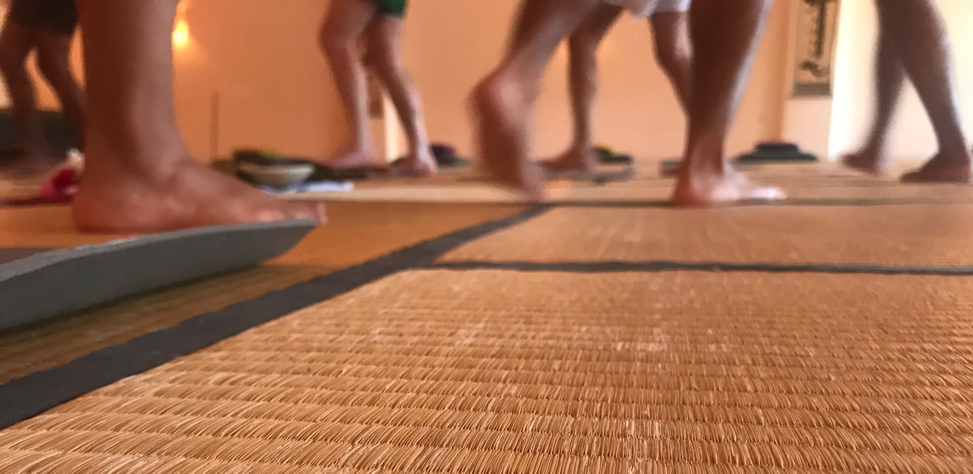 Iyengar-hold
