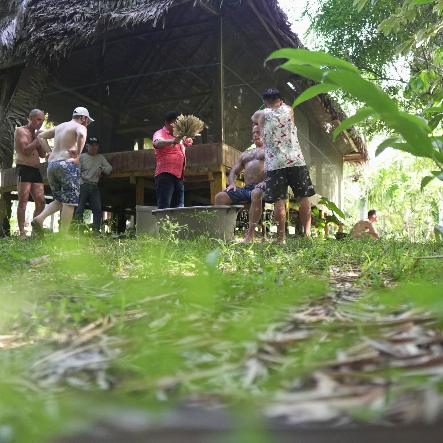 7-dages ayahuasca-retreat