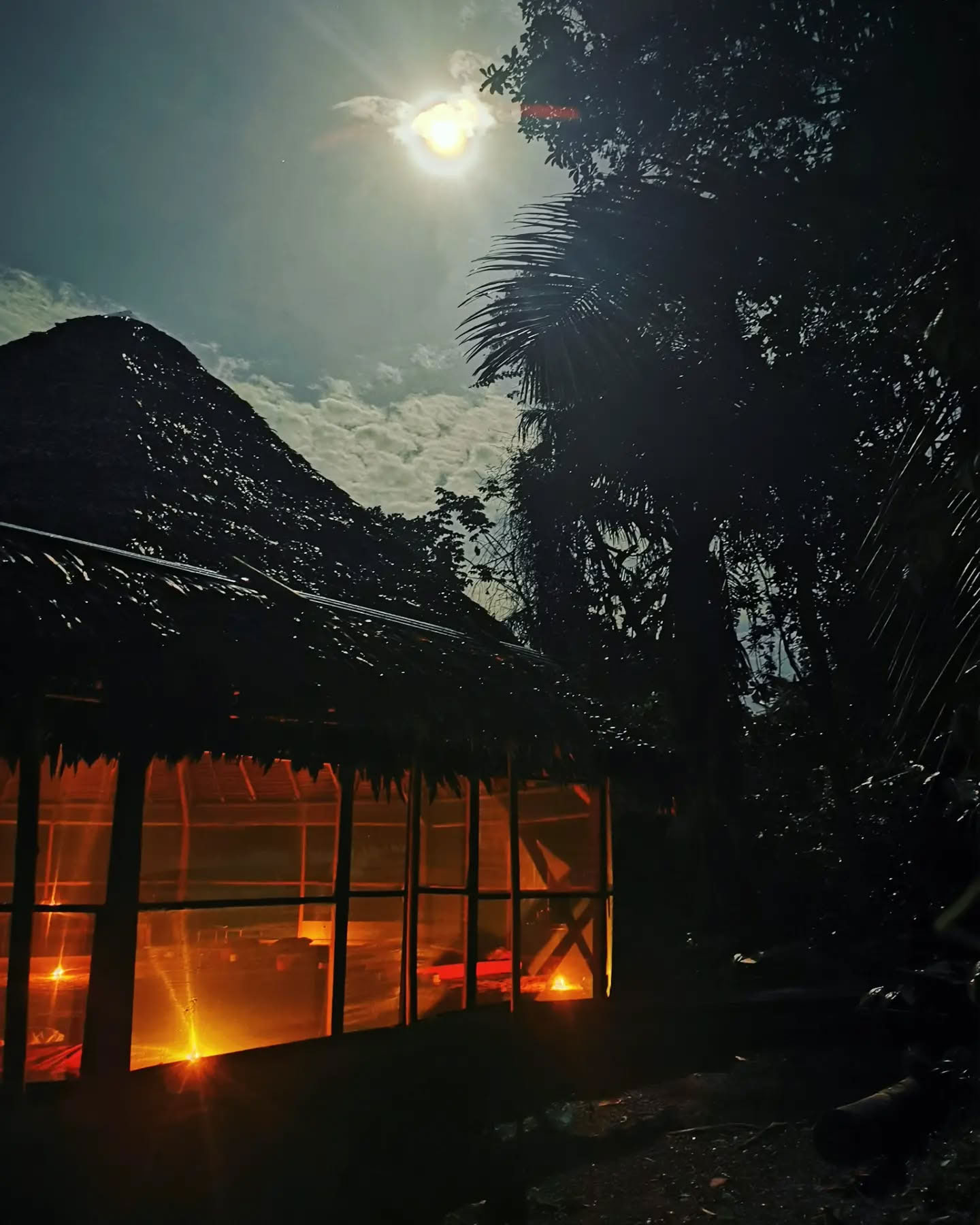 7-dages ayahuasca-retreat