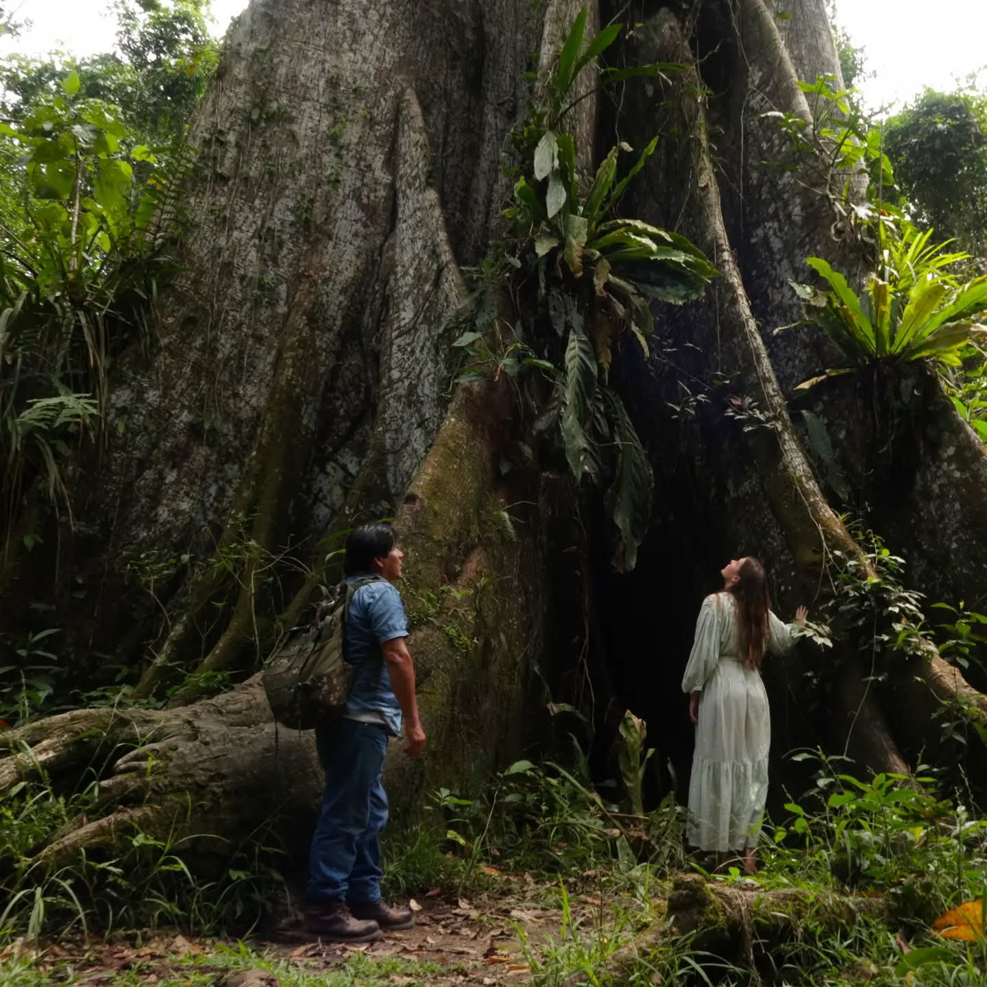 14-dages ayahuasca-retreat