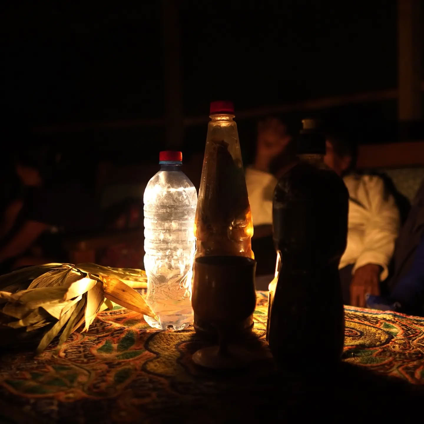 14-dages ayahuasca-retreat