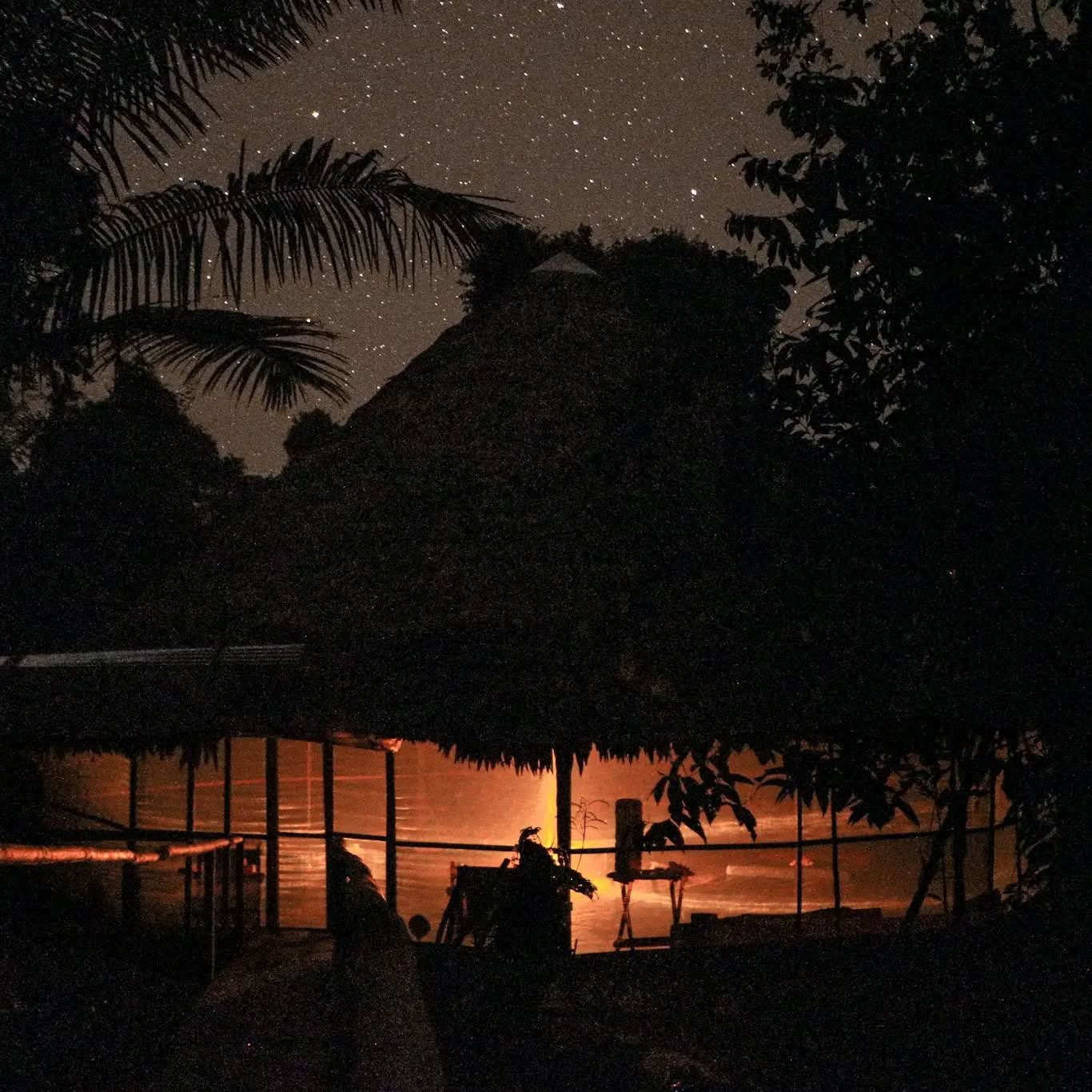 14-dages ayahuasca-retreat