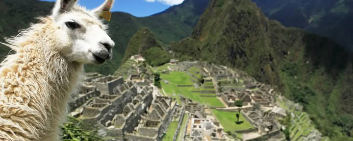 7-dages ayahuasca-retreat og Machu Picchu: hellig helbredelsesrejse