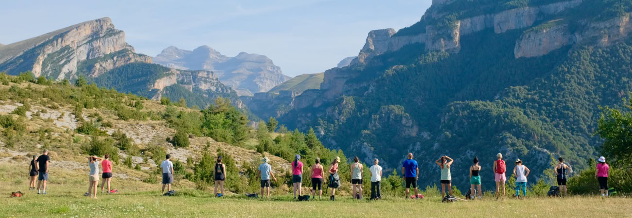 Yoga, sang og naturretreat